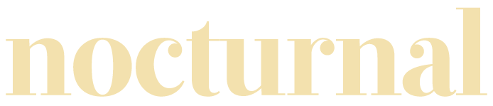 Web Design Albany NY